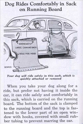 Illustration for article titled Best Auto Accessory Ever: Dog In A Bag